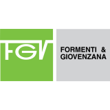 FGV